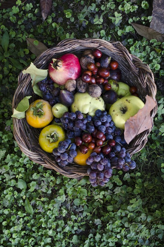Amo l’autunno e la torta di fichi freschi (senza glutine)