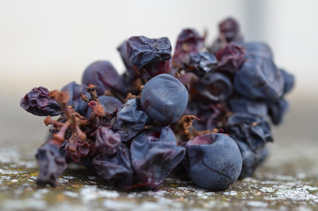 Autunno tempo di vendemmia, autunno tempo di torte