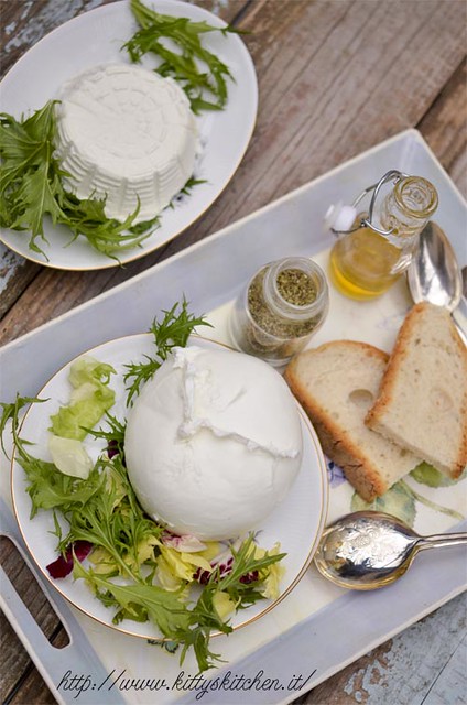 Cacio ricette: la mozzarella di bufala
