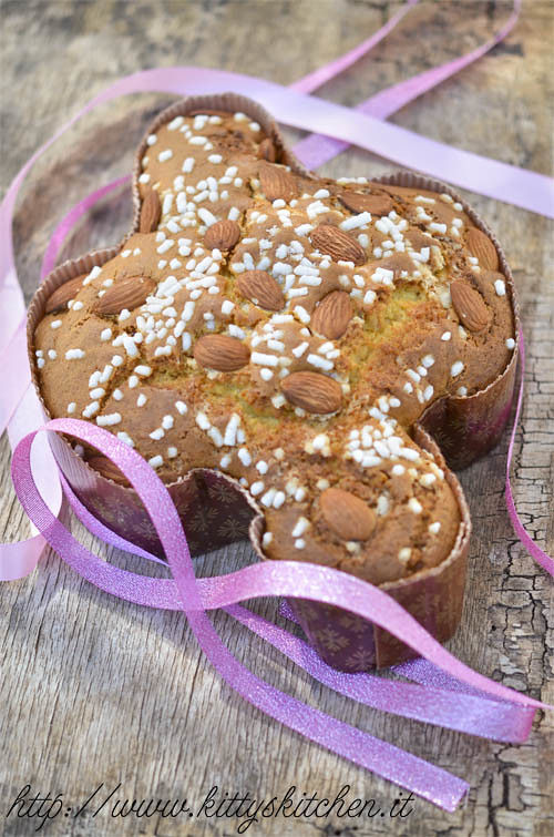 Colomba veloce