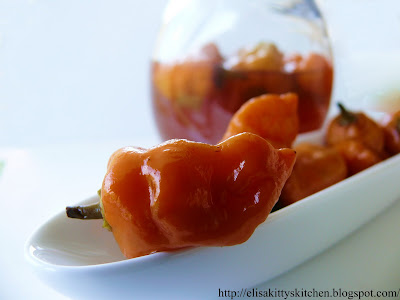 Habanero sott’aceto