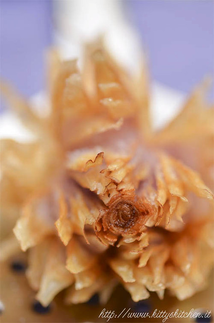 Lampascioni Flower