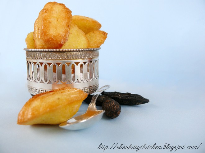Les Petites Madeleines al profumo di fava tonka