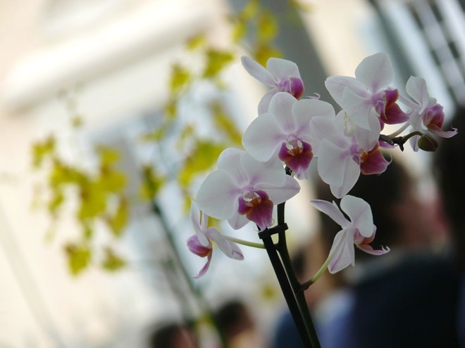 Metti un brunch da… Colonna e prossimo incontro