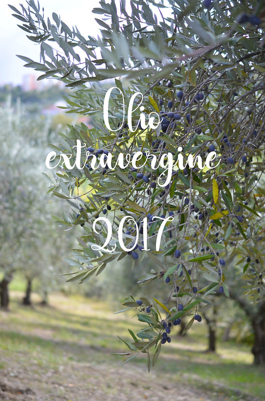Olio extravergine 2017