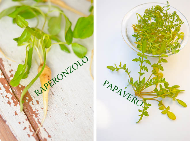 Raperonzoli & Papaveri