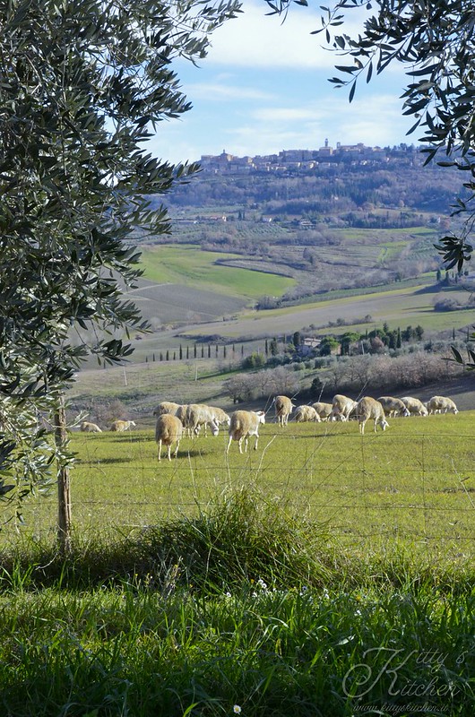 Val d’Orcia